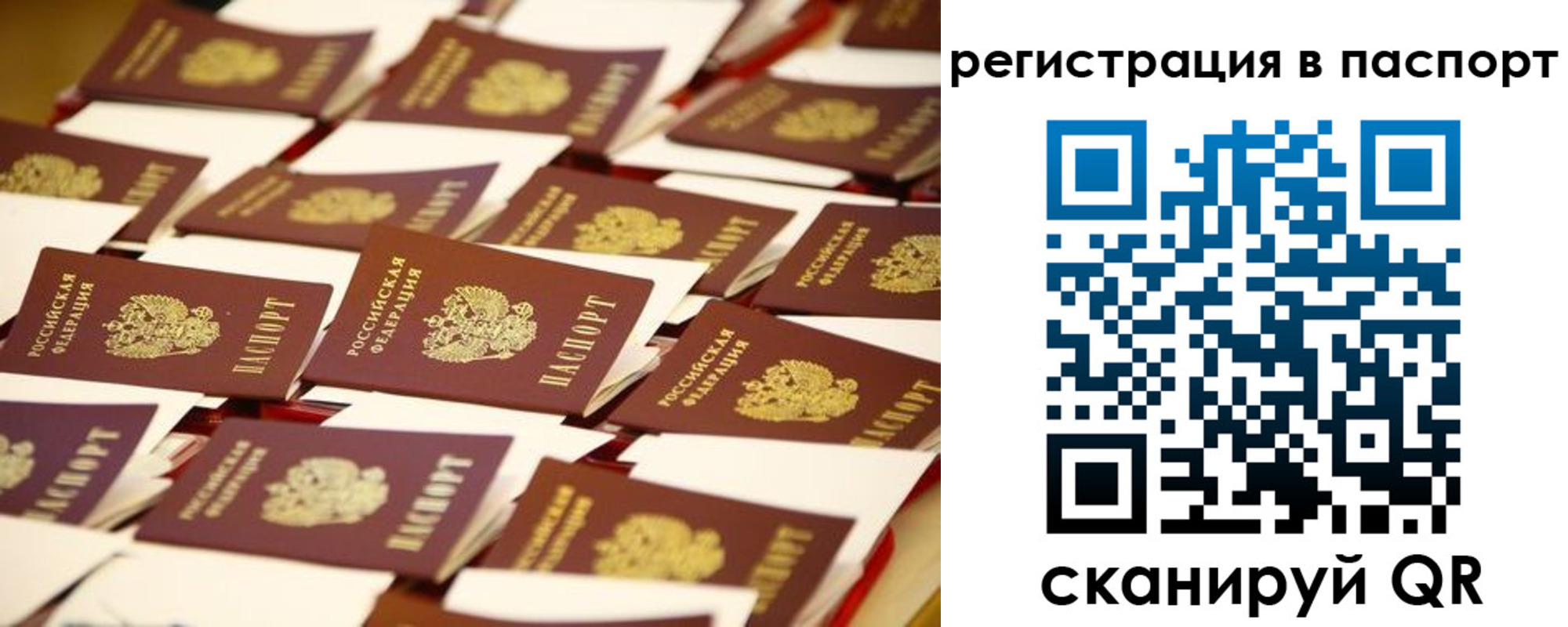 прописка гарантия в Кинешме